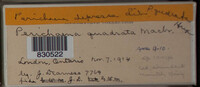 Image Associated With the Occurence